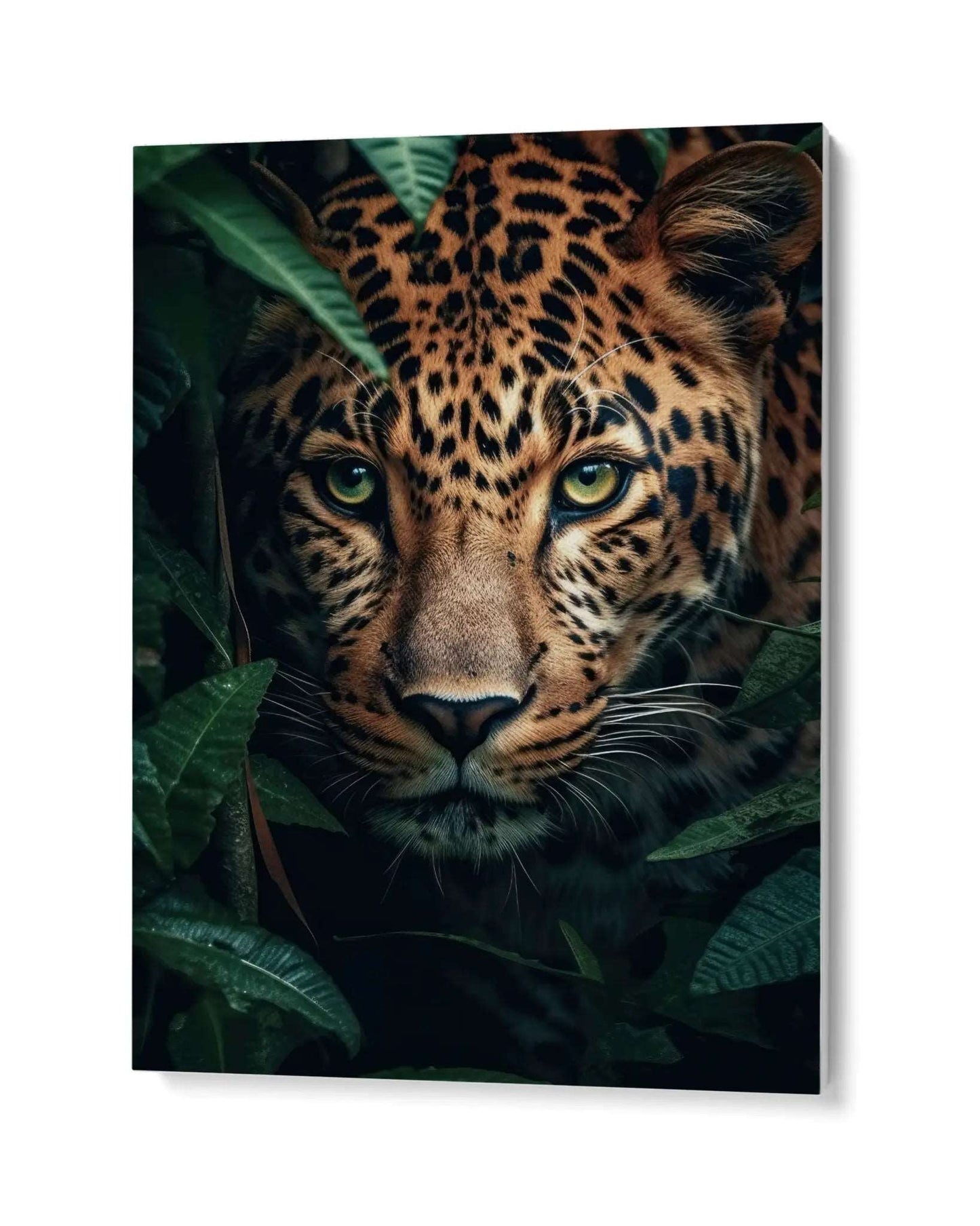 Enigmatic Jaguar